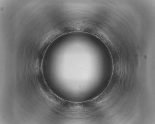 X0000088360594200705221033