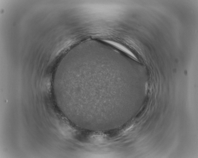 X0000088360595200705221033