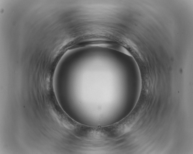 X0000088360596200705221033