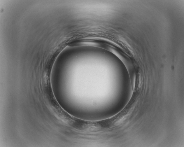 X0000088360597200705221033