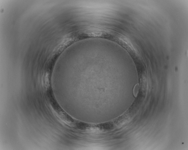 X0000088360598200705221033