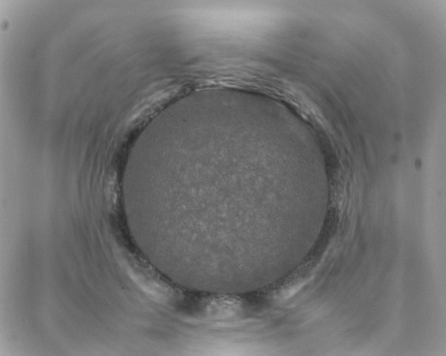 X0000088360599200705221033