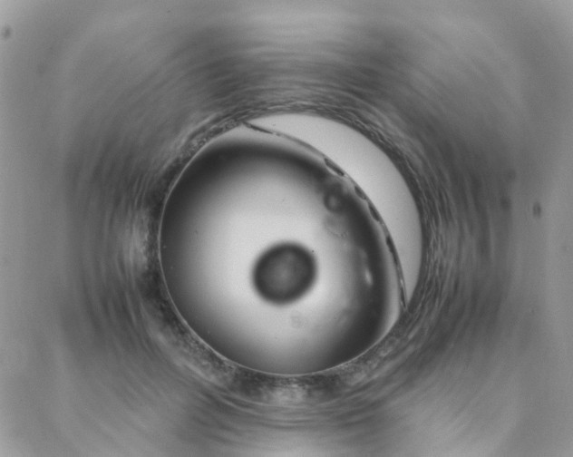 X0000088360600200705221033