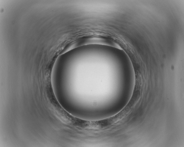 X0000088360601200705221033