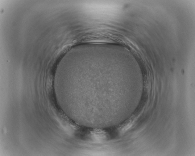 X0000088360603200705221033