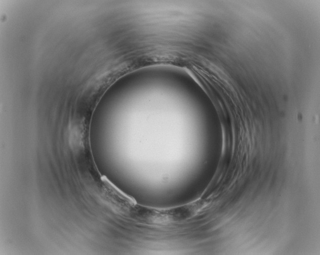 X0000088360604200705221033