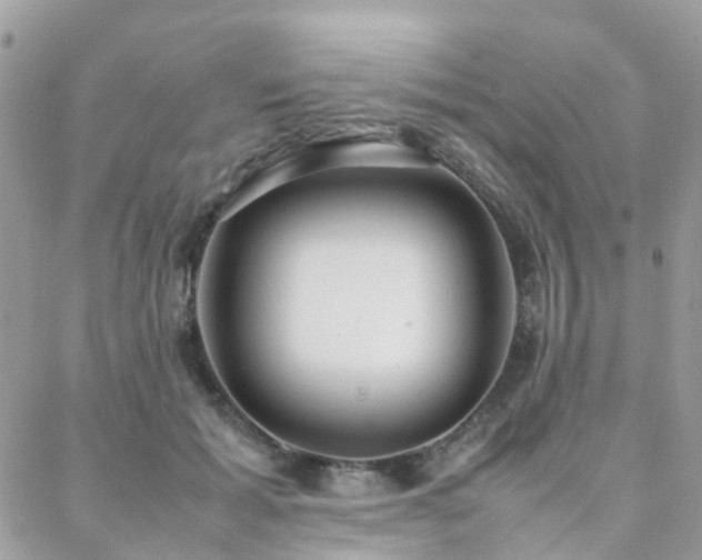 X0000088360605200705221033