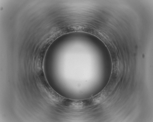 X0000088360606200705221033