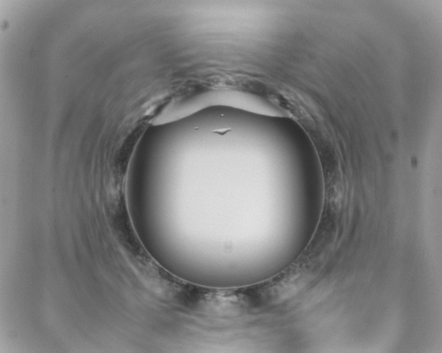 X0000088360607200705221033