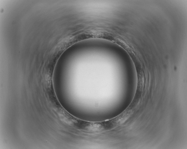 X0000088360609200705221033