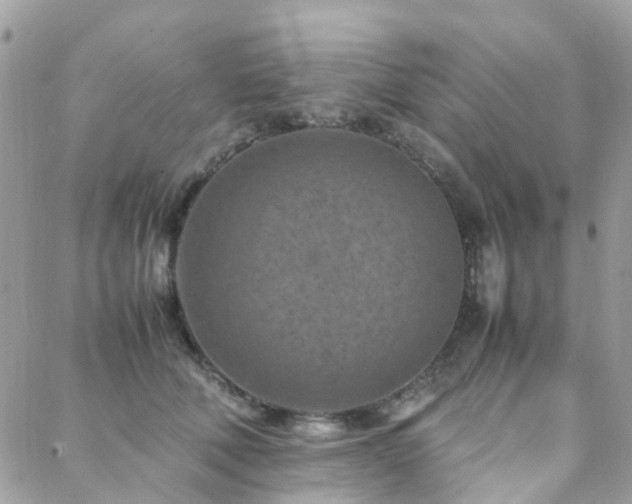 X0000088360610200705221033