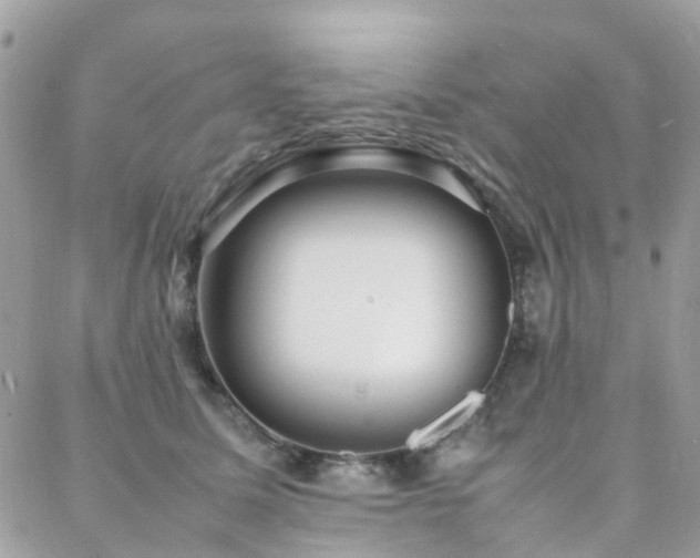 X0000088360611200705221033