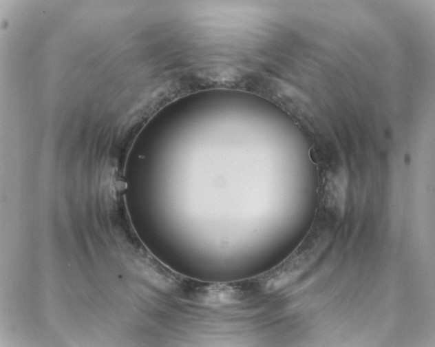 X0000088360612200705221033