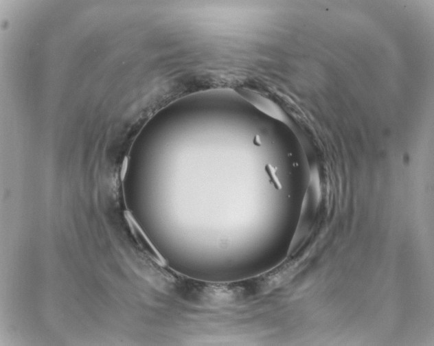 X0000088360613200705221033