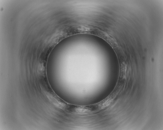 X0000088360614200705221033