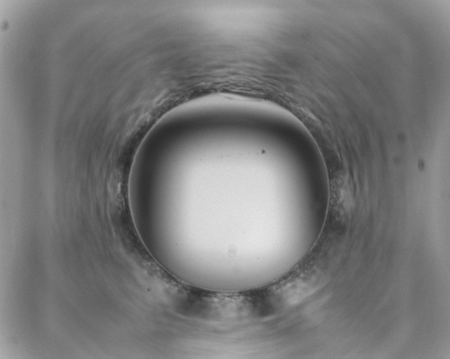 X0000088360615200705221033