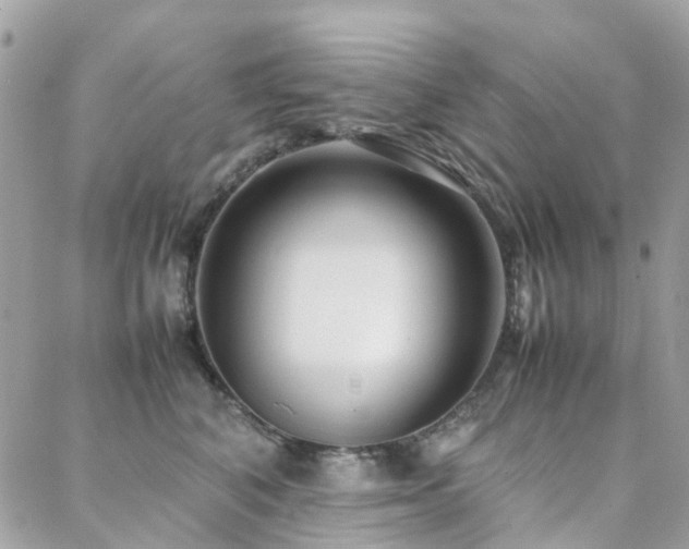 X0000088360616200705221033