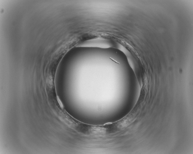 X0000088360617200705221033