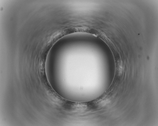 X0000088360619200705221032