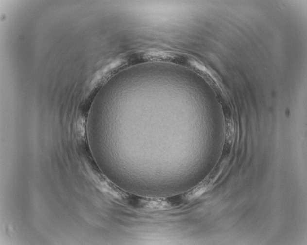 X0000088360621200705221032