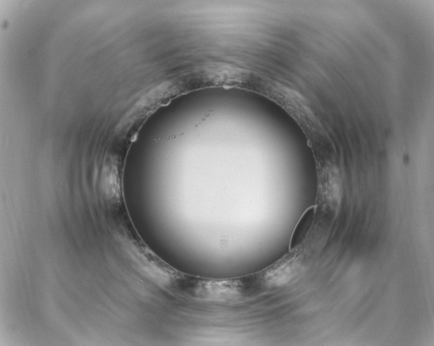 X0000088360622200705221032