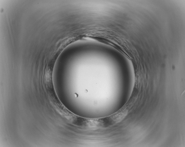 X0000088360623200705221032