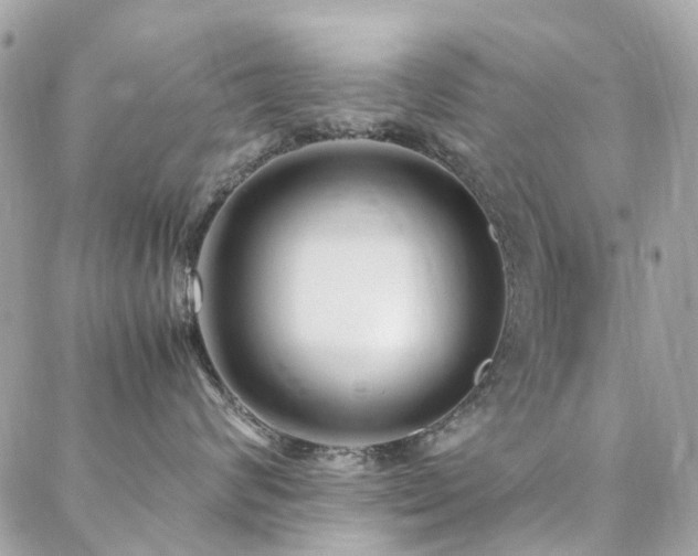 X0000088360624200705221032