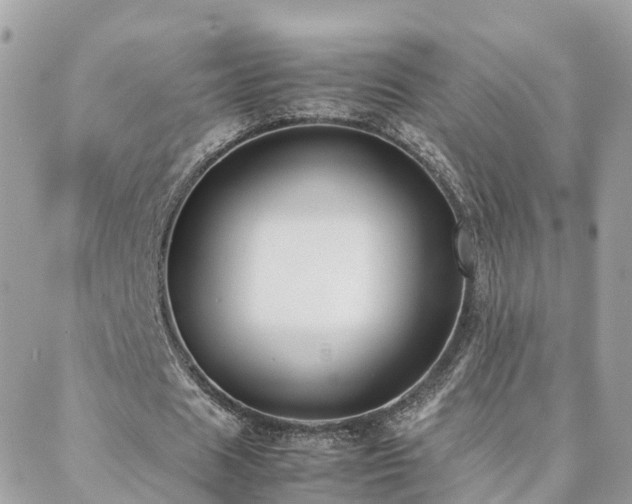 X0000088360625200705221032