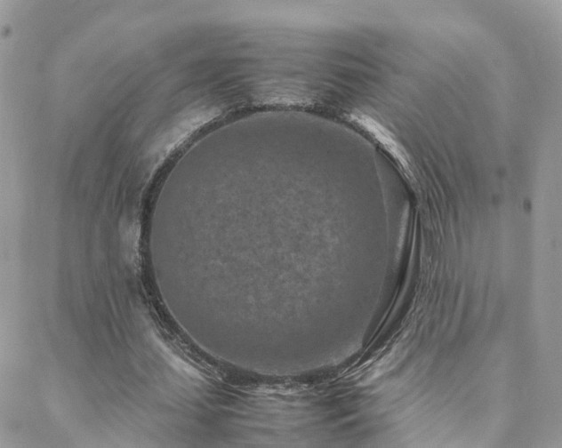 X0000088360627200705221032