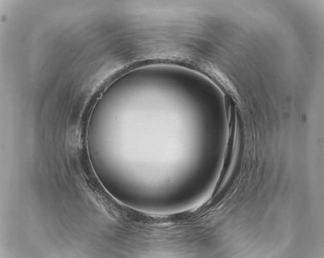 X0000088360628200705221032