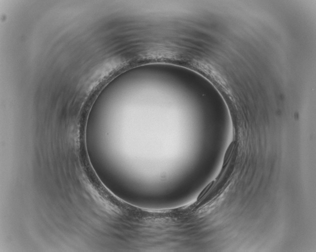 X0000088360629200705221032