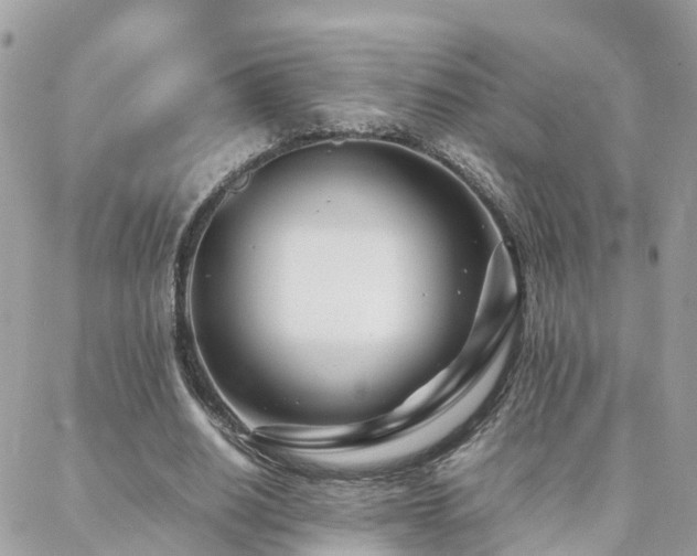 X0000088360630200705221032