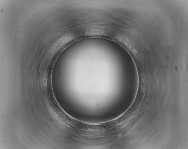 X0000088360631200705221032