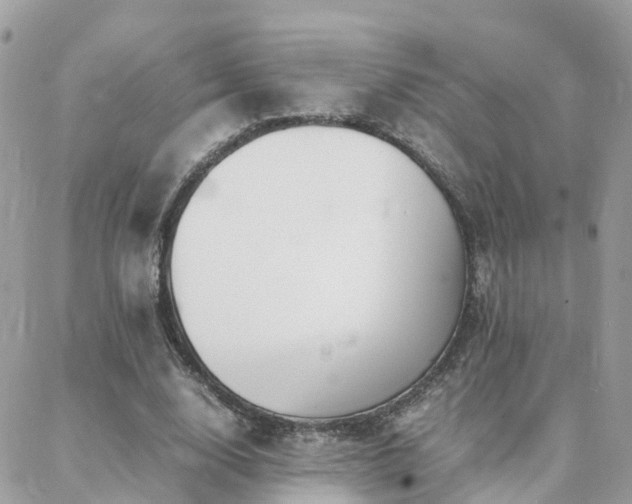 X0000088360632200705221032