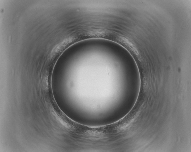 X0000088360633200705221032