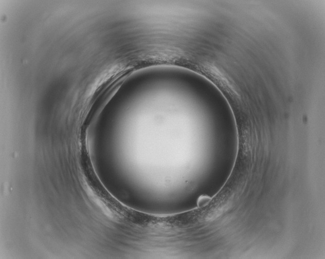 X0000088360634200705221032