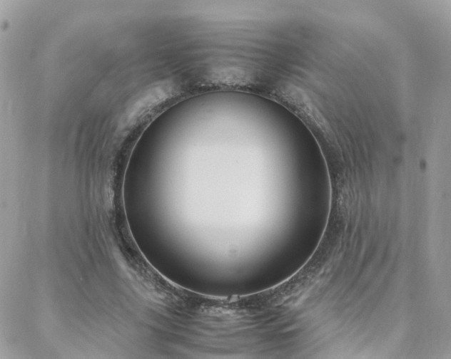 X0000088360635200705221032