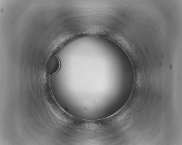 X0000088360636200705221032