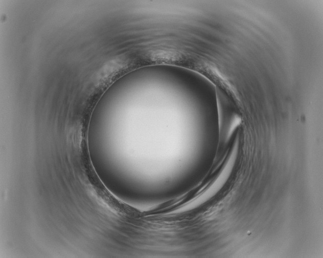 X0000088360637200705221032