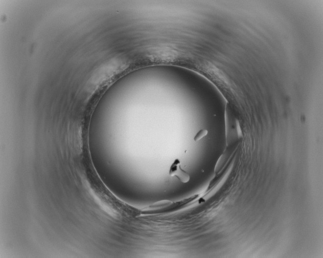 X0000088360638200705221032