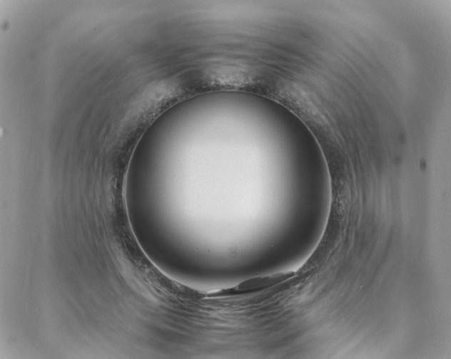 X0000088360639200705221032