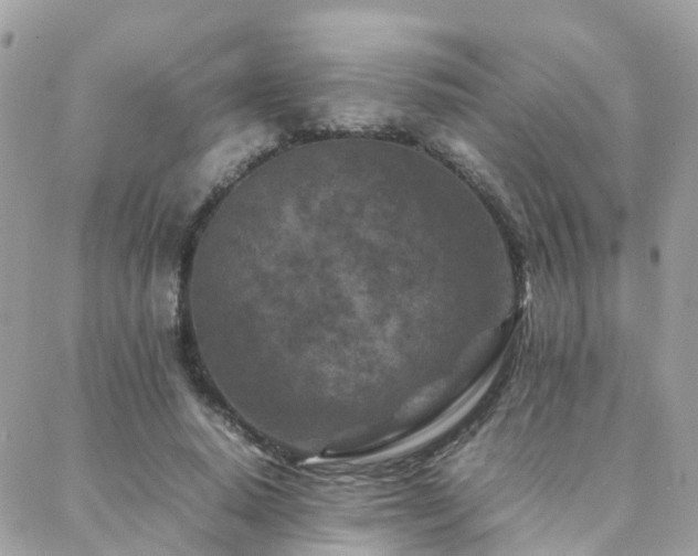 X0000088360640200705221032