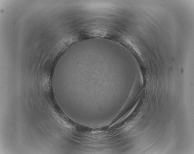 X0000088360641200705221032