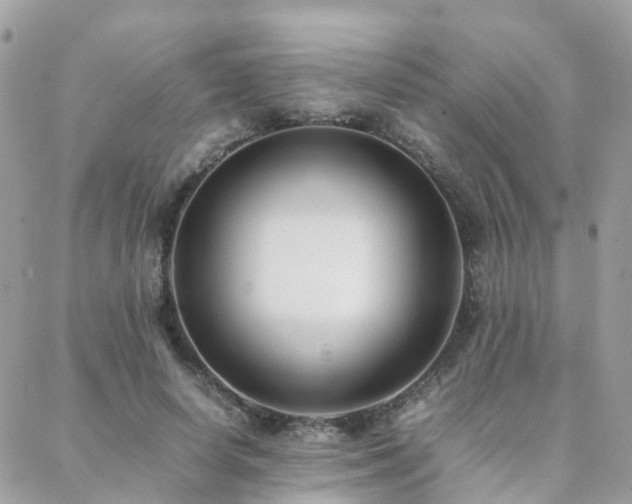 X0000088360642200705221032