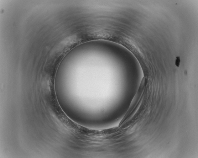 X0000088360643200705221032