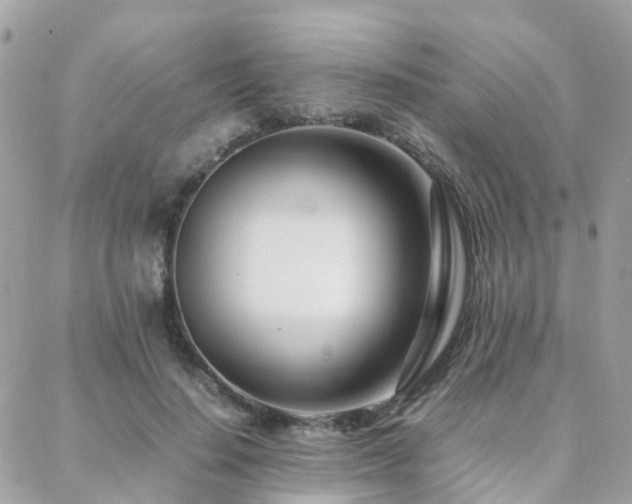 X0000088360644200705221032