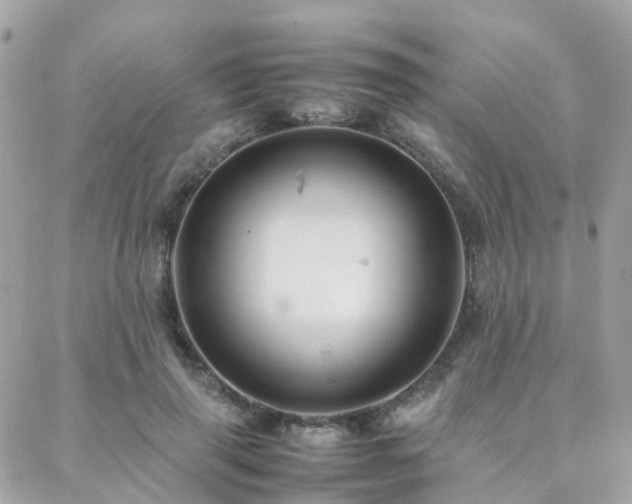 X0000088360645200705221032