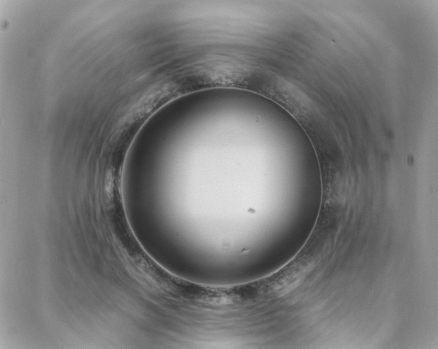 X0000088360646200705221032