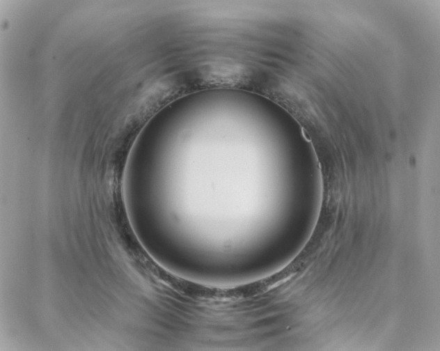 X0000088360647200705221032