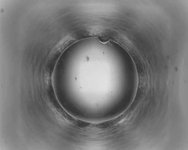 X0000088360648200705221032